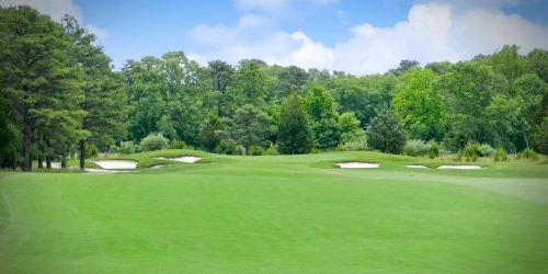 Vineyard Golf at Renault Winery