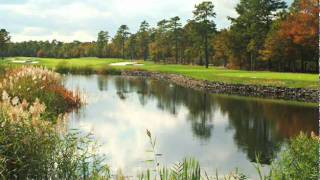 golf video - 1569